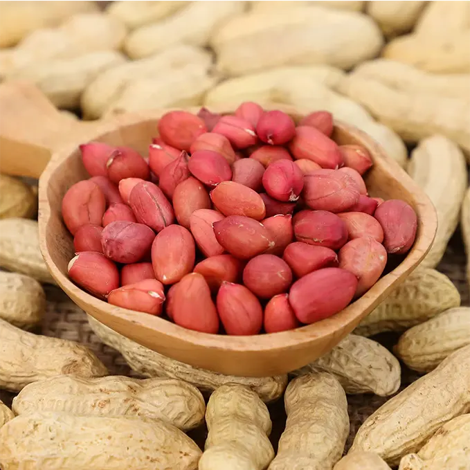 Peanuts (Groundnuts)